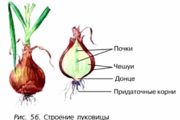 Кракен продает наркотики